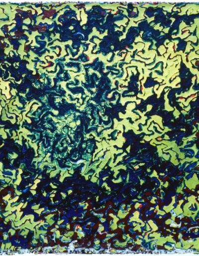 "Acrylic Epidermis" - 1981 - 48"h.x60"w. Paintskin mounted on stretched canvas.