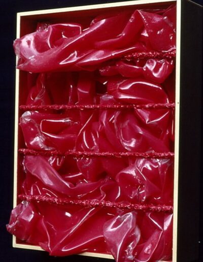 "Boxed Paintskin" - 1983 - 16"h.x12"w.x3.5"d.
