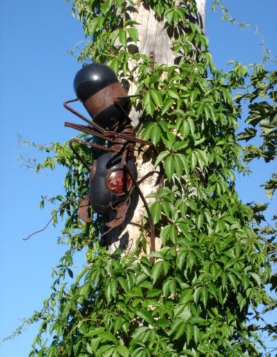 "Carpenter Ant" - Detail. 1999. Mounted on tree trunk with Virginia Creeper Plant and salvaged metal top.