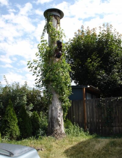 "Carpenter Ant Tree" - 1999 - 38"h.x24"w. Carved bowling balls and steel.