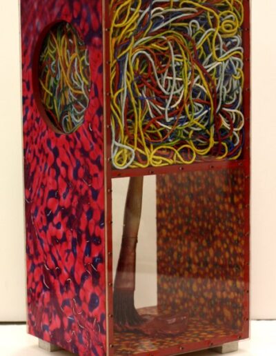 "Perception 2" - 1981 - 14"h.x6"w.x5.5"d. Encapsulated brush. Paintskins on wood, coated strings and coiled Paintskin top