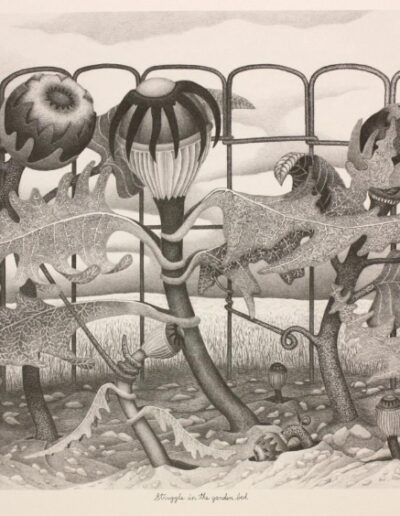 "Struggle In The Garden Bed" - 1995 - 20.5"h.x26"w. Pencil drawing on archival paper.